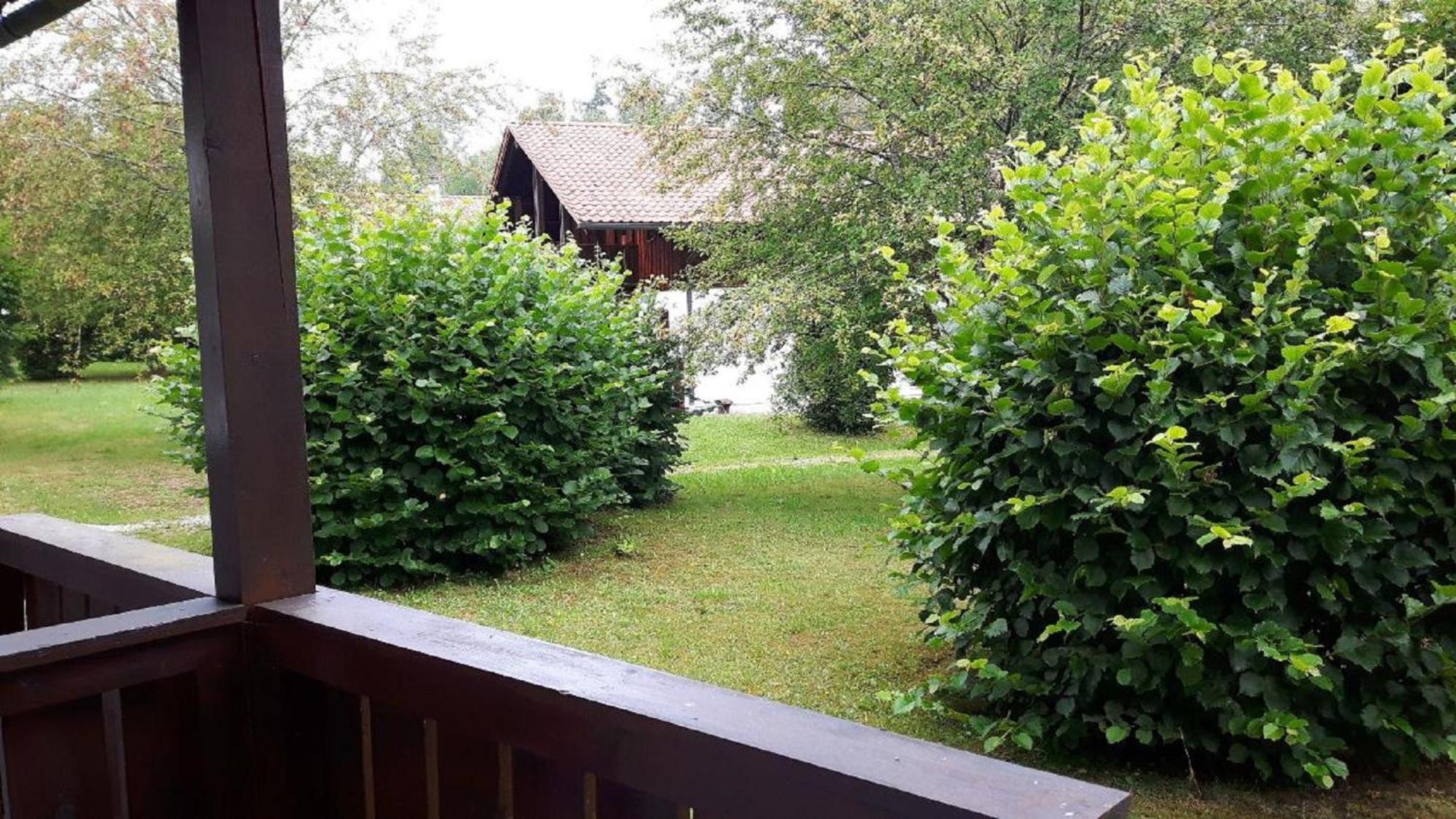 Waldferiendorf Haus Virzi inkl. Aktiv Card Regen Exterior foto