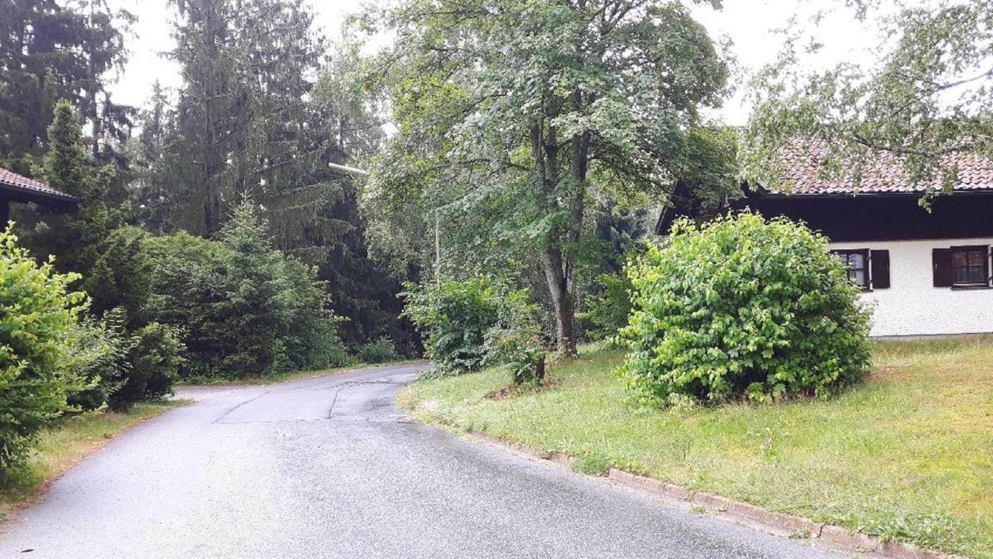 Waldferiendorf Haus Virzi inkl. Aktiv Card Regen Exterior foto