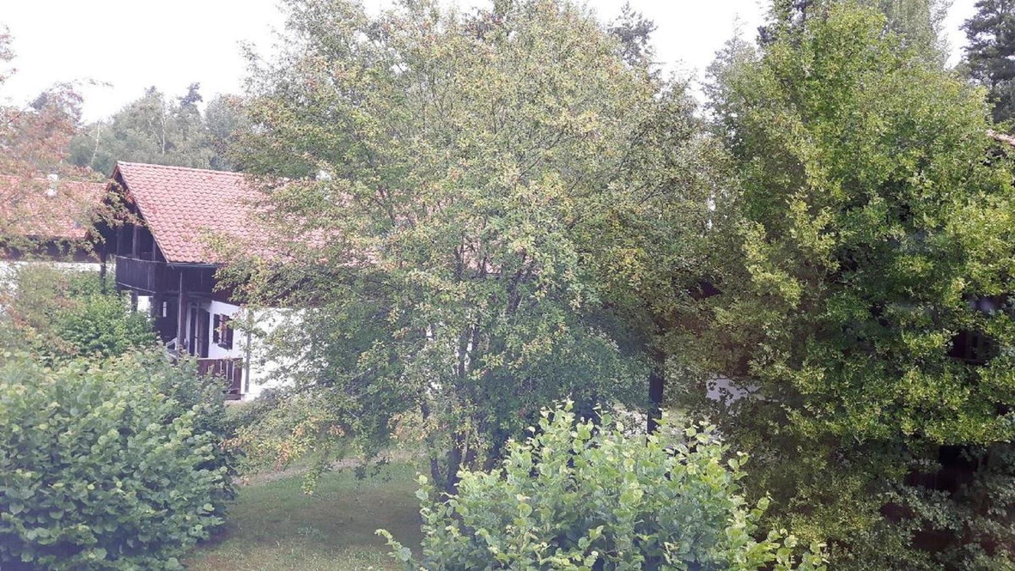 Waldferiendorf Haus Virzi inkl. Aktiv Card Regen Exterior foto